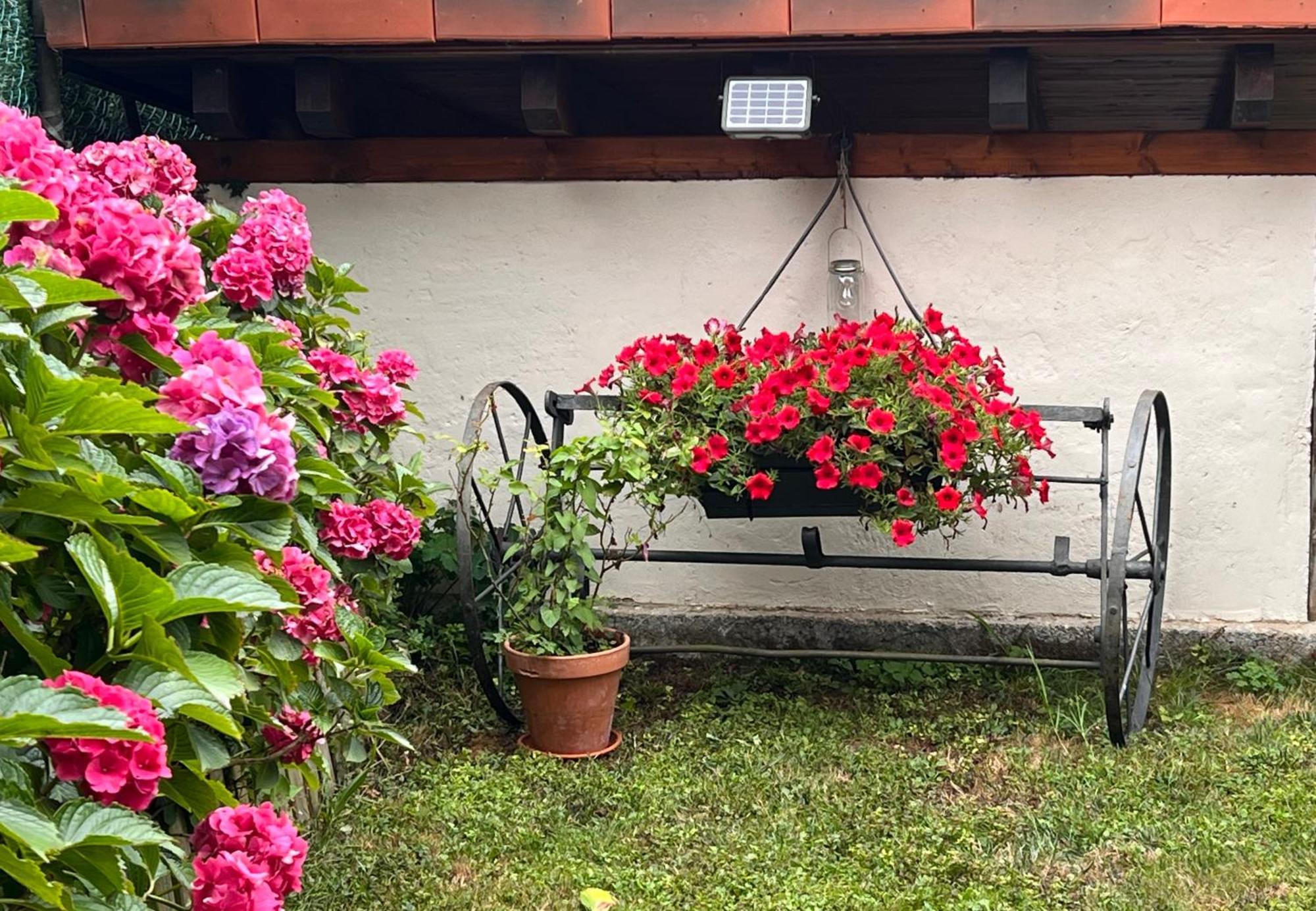 Onís Casa Rural Casa Cerezal מראה חיצוני תמונה