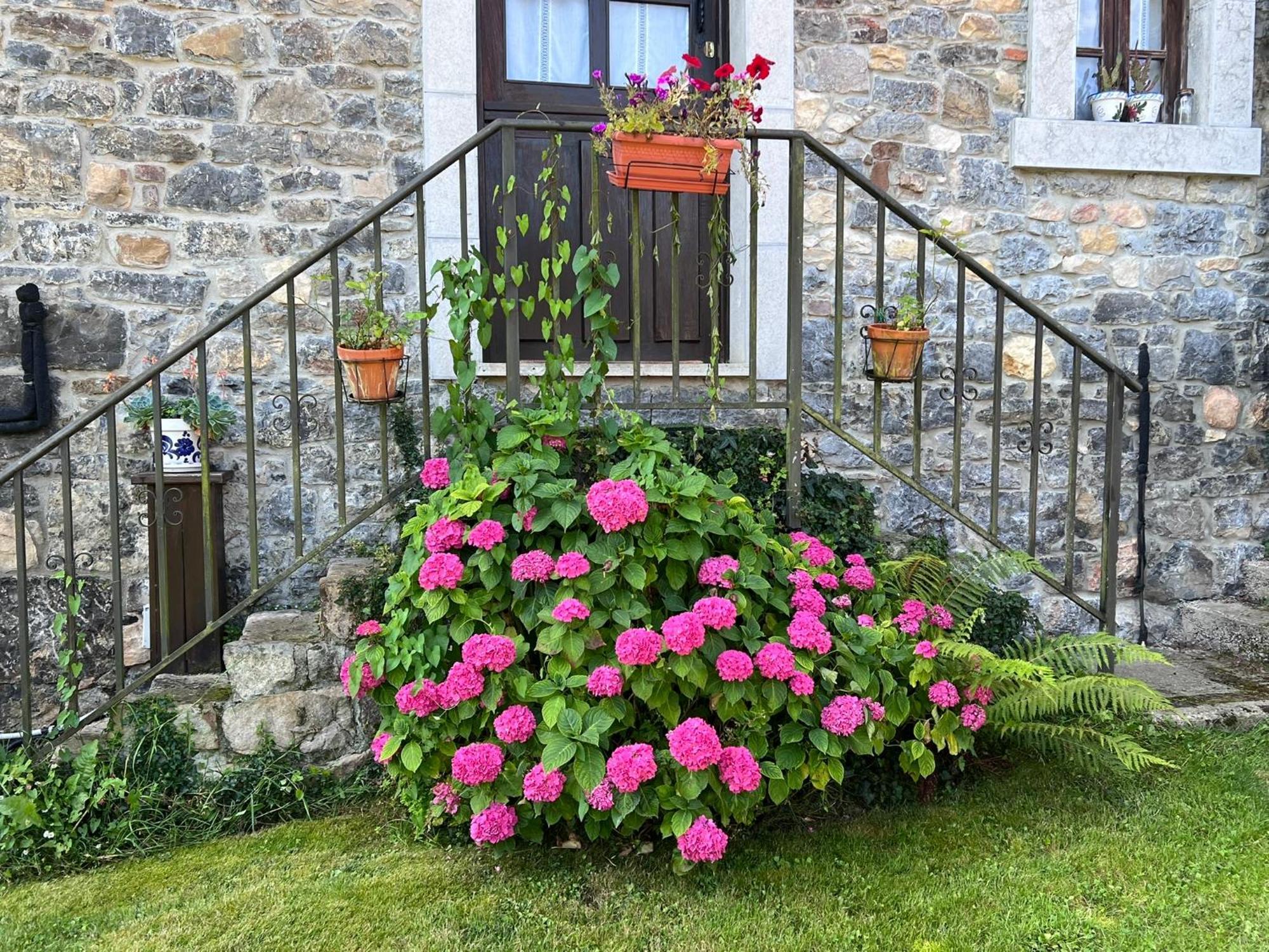 Onís Casa Rural Casa Cerezal מראה חיצוני תמונה